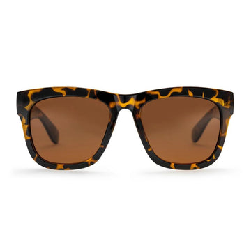 Occhiali CHPO Haze turtle brown 16131HC