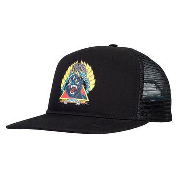 Cap Santa Cruz Natas Screaming Panther black
