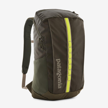 Patagonia Black Hole Pack 25L pine needle green backpack