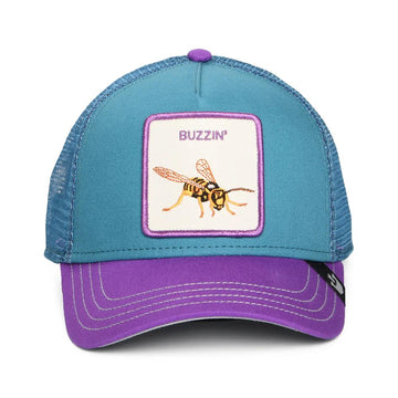 Cap Goorin Bros Buzzing Bug teal purple