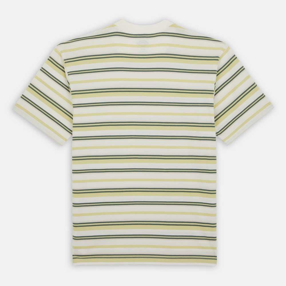 Maglietta T-shirt Dickies Glad Spring white stripe