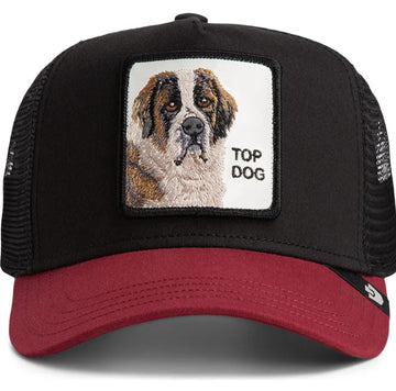 Cappello  Goorin Bros Top Dog Black