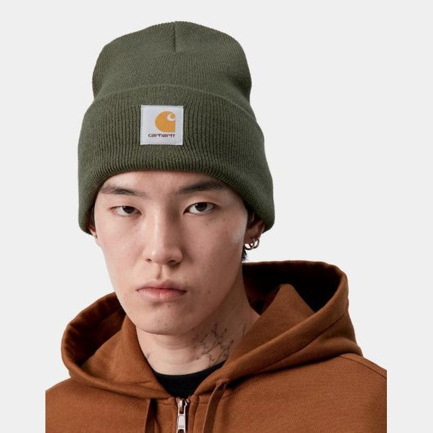 Beanie Carhartt Watch Hat Opuntia