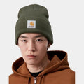 Beanie Carhartt Watch Hat Opuntia