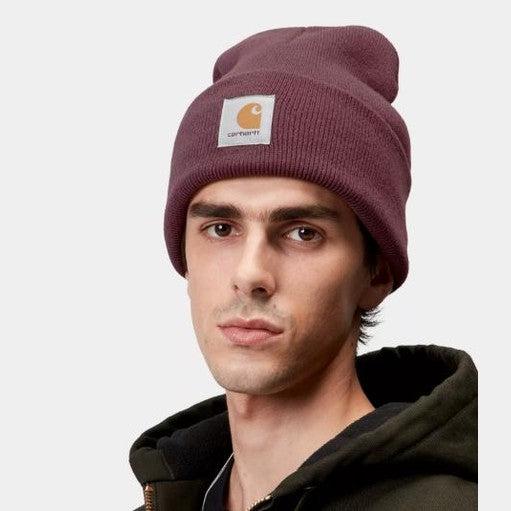 Beanie Carhartt Watch Hat Palisander