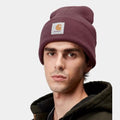 Beanie Carhartt Watch Hat Palisander