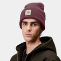 Beanie Carhartt Watch Hat Palisander
