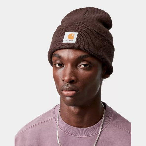 Beanie Carhartt Watch Hat Palisander