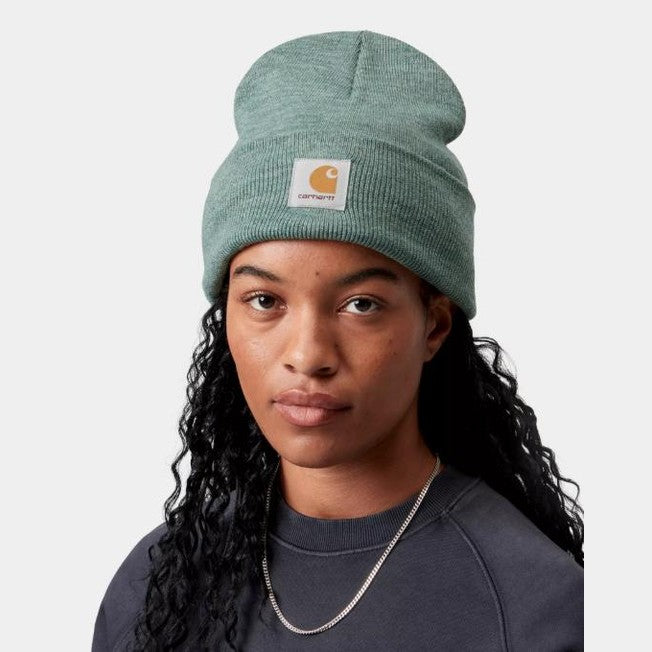 Beanie Carhartt Watch Hat Silver Pine Heat