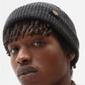 Beanie Dickies Woodworth Blk