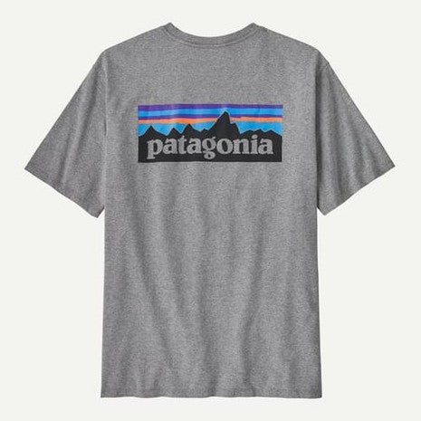 Borsa Patagonia Black Hole 6L Black