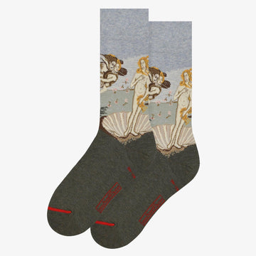 Calze Art Sox Birth of Venus multicolor