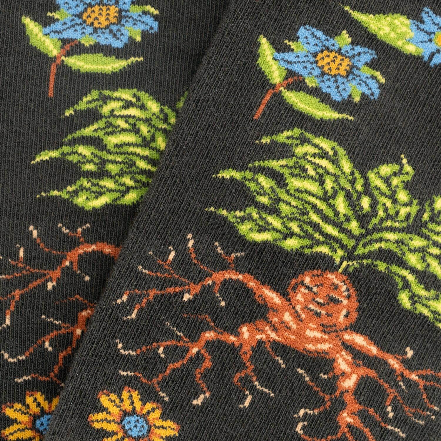Calze Jimmy Lion Harry Potter Herbolog multicolor