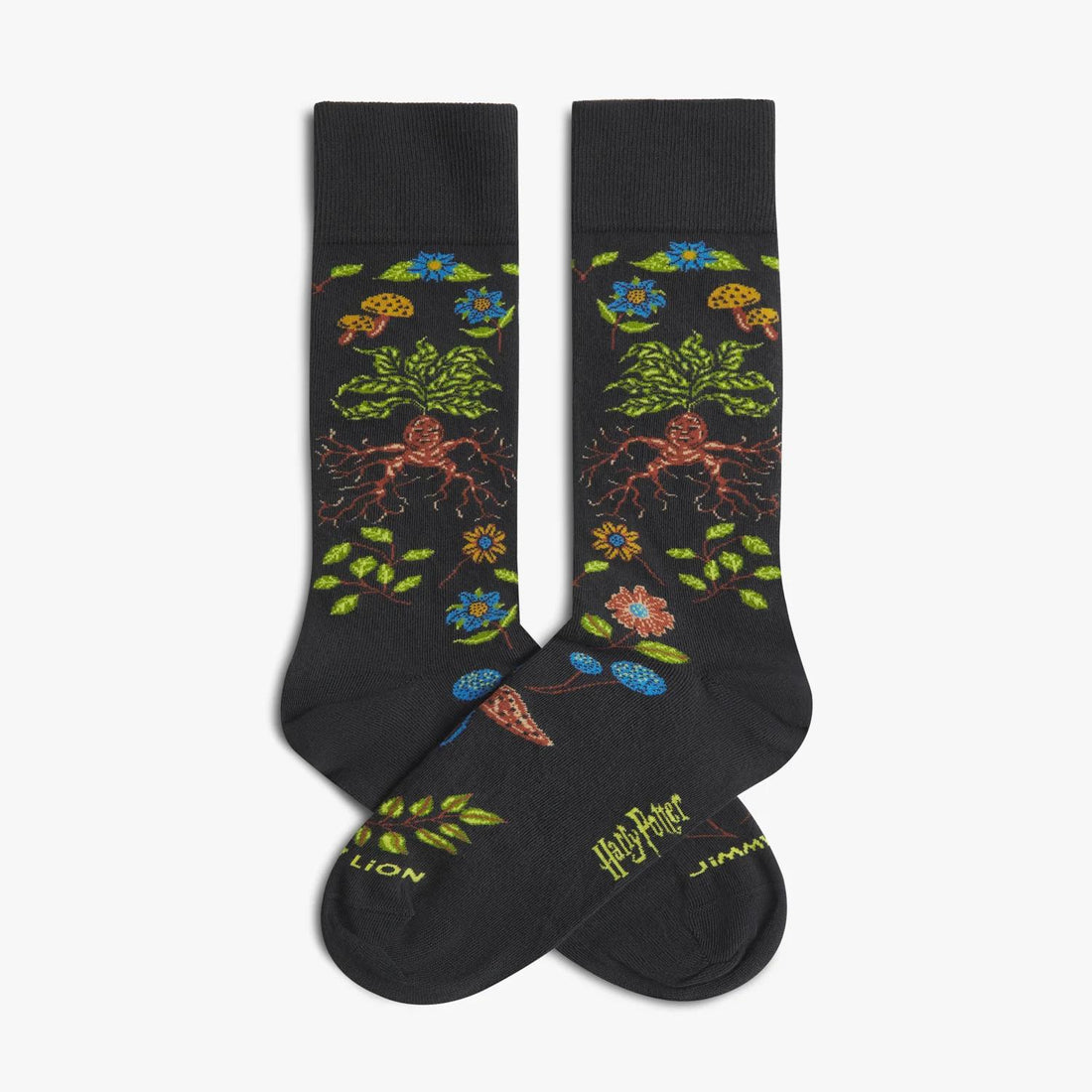Calze Jimmy Lion Harry Potter Herbolog multicolor