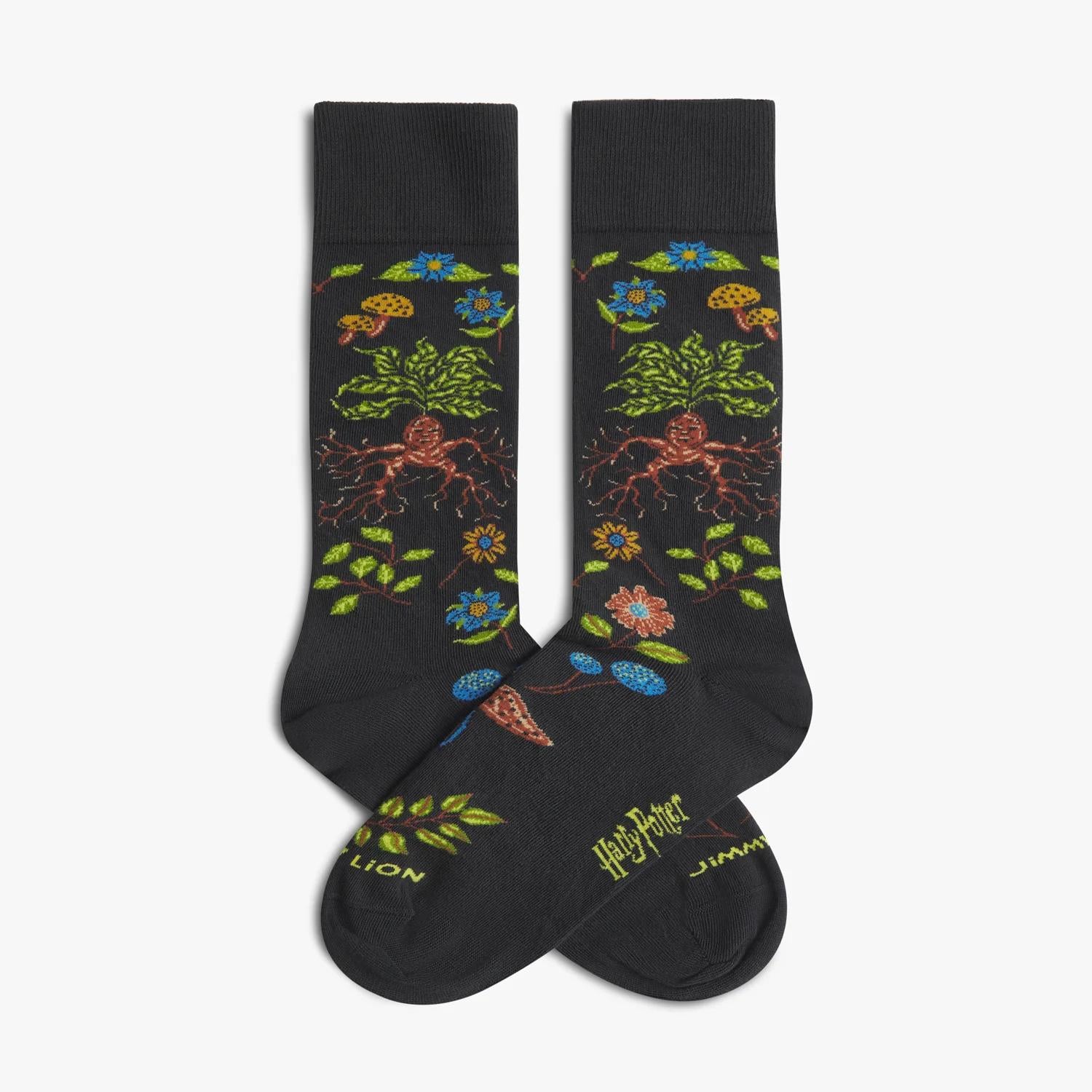 Calze Jimmy Lion Harry Potter Herbolog multicolor