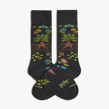Calze Jimmy Lion Harry Potter Herbolog multicolor