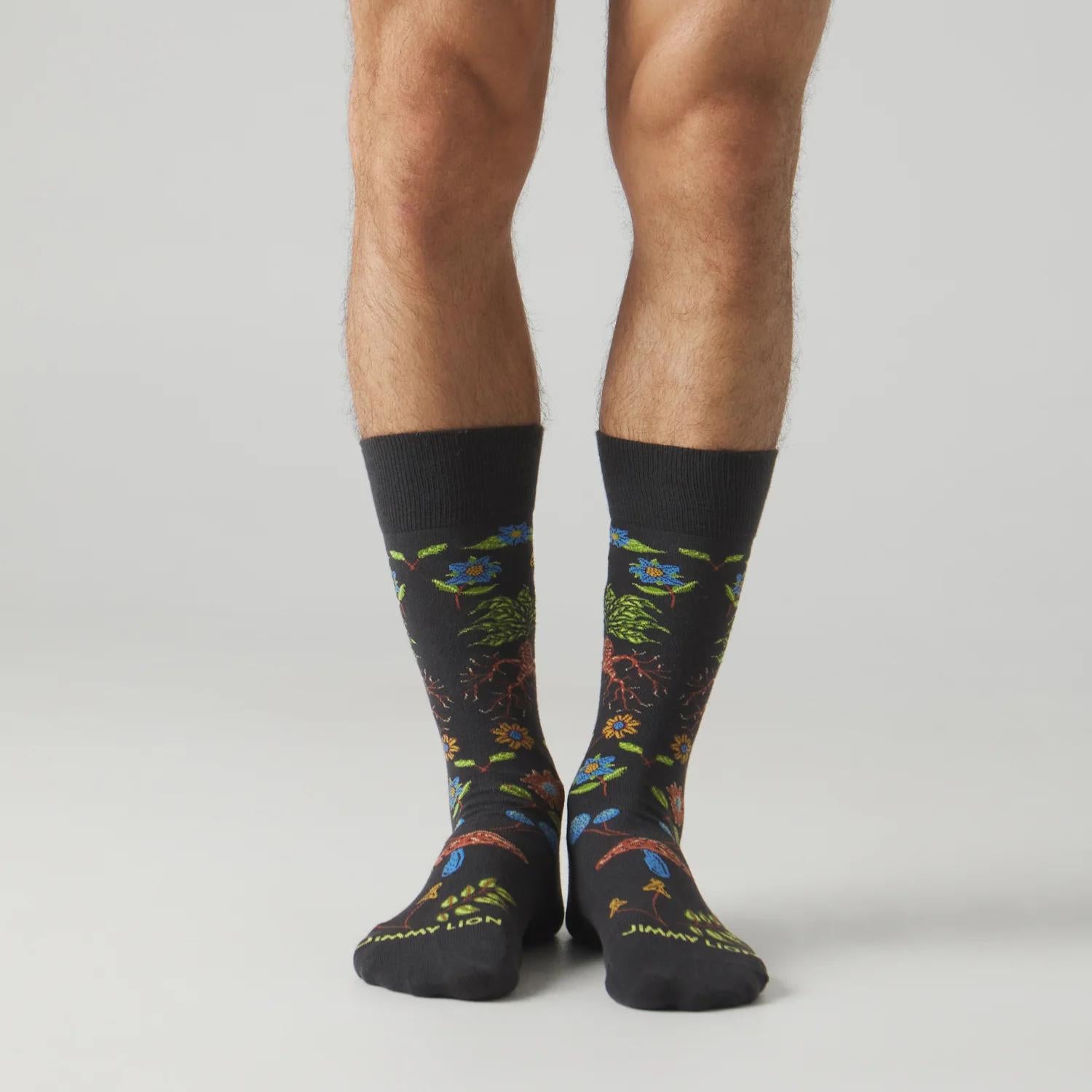 Calze Jimmy Lion Harry Potter Herbolog multicolor