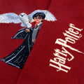 Calze Jimmy Lion Harry Potter The Boy Who Lived multicolor