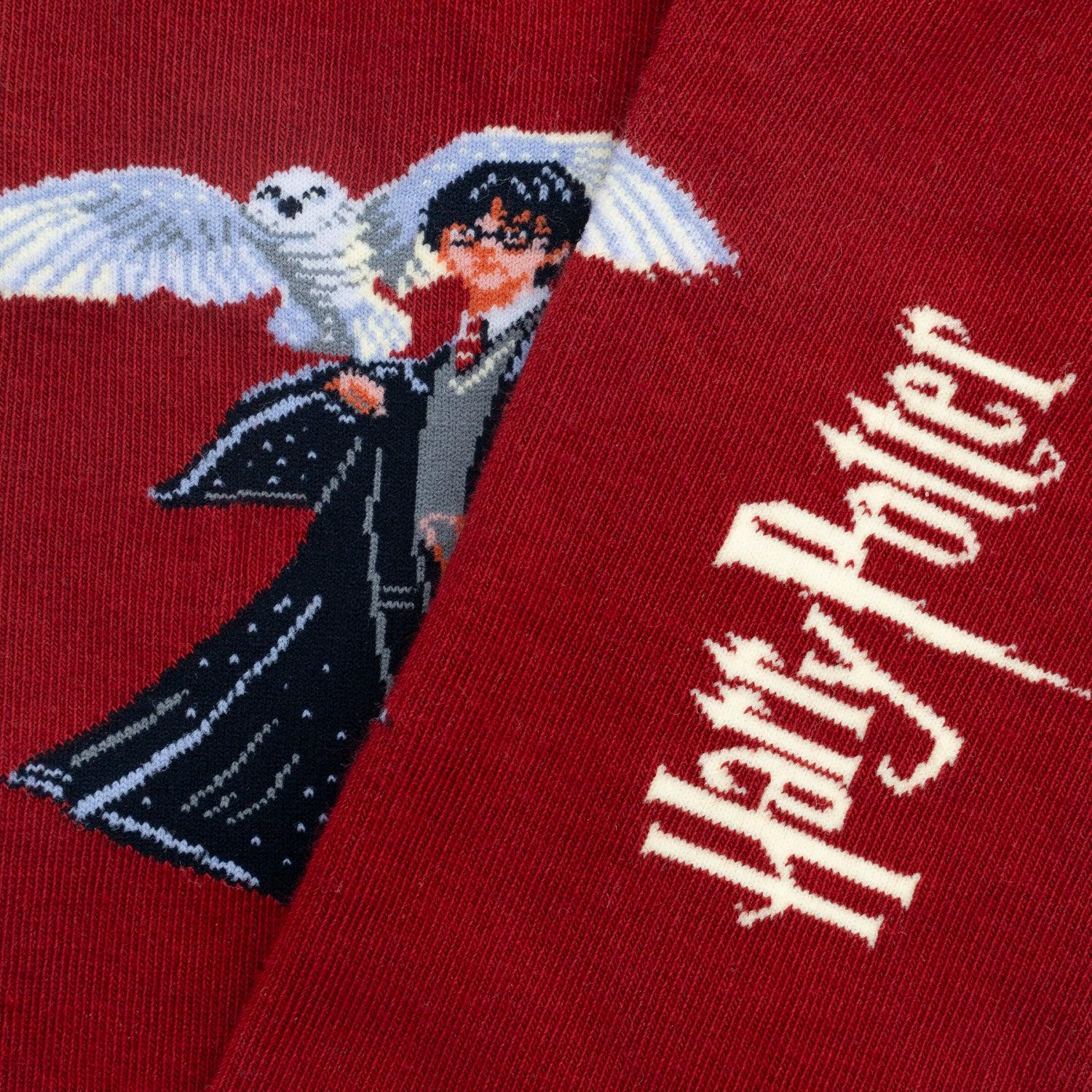 Calze Jimmy Lion Harry Potter The Boy Who Lived multicolor