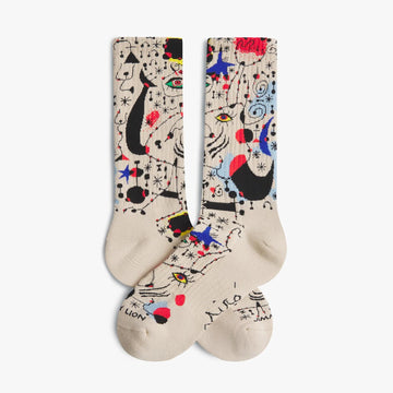 Calze Jimmy Lion Mir� multicolor