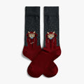 Calze Jimmy Lion Raining Cat multicolor