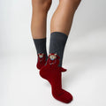 Calze Jimmy Lion Raining Cat multicolor