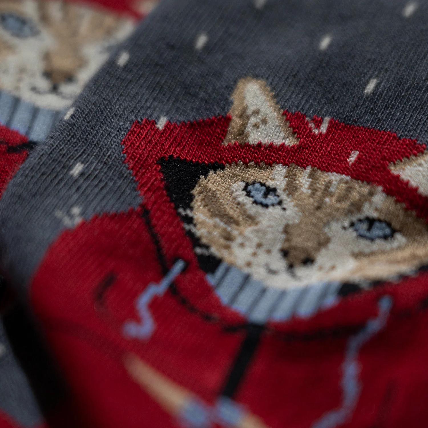 Calze Jimmy Lion Raining Cat multicolor