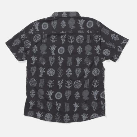 Camicia Salty Crew Breezer Perf Gray