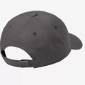 Cap Carhartt Canvas Script Porphyry Wht