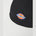 Cap Dickies Hardwick 2 Tone Black