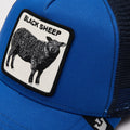 Cap Goorin Bros The Black Sheep royal blue