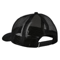 Cap Iriedaily Stonefinger Meshcap black white