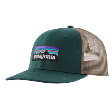 Cap Patagonia P-6 Logo Truck NENA