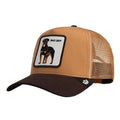 Cappello Goorin Bros Bad Boy Multicolor