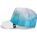 Cappello Goorin Bros Dolphin In The Element Multicolor