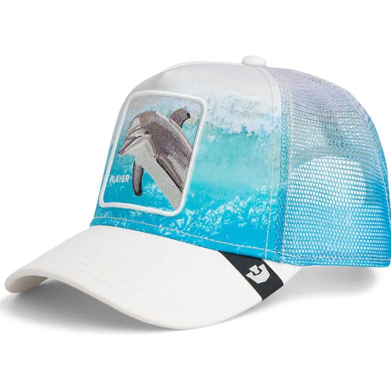 Cappello Goorin Bros Dolphin In The Element Multicolor