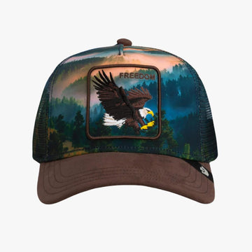 Cappello Goorin Bros Eagle In the Element MulticoloR