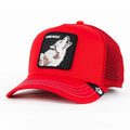 Cappello Goorin Bros Lone Wolf Multicolor