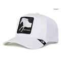 Cappello Goorin Bros Platinum High White