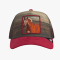Cappello Goorin Bros Stallion In the Elemen crush Multicolor