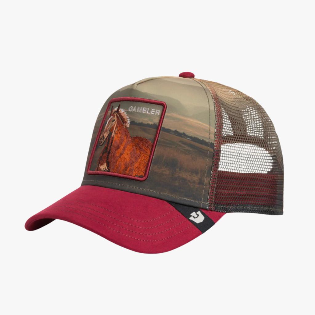 Cappello Goorin Bros Stallion In the Elemen crush Multicolor