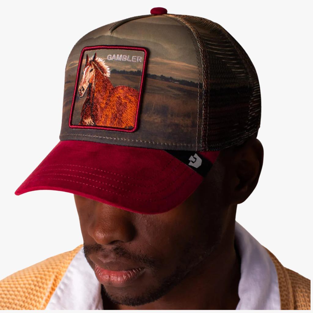Cappello Goorin Bros Stallion In the Elemen crush Multicolor