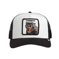 Cappello Goorin Bros Strenght Panther Multicolor