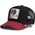Cappello Goorin Bros Top Dog Black