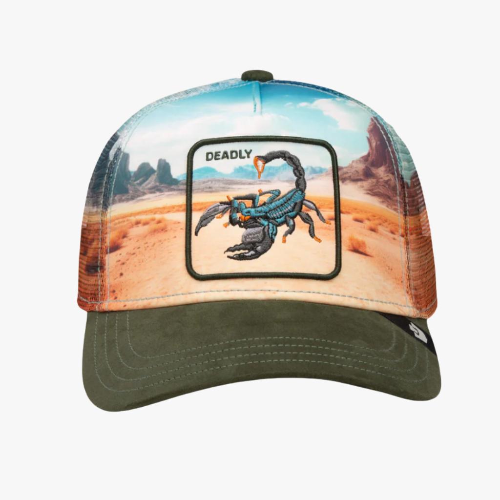 Cappello GoorinBros Scorpion In the Element Multicolor