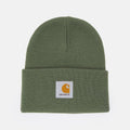 Cappello hat Carhartt Watch dollar green