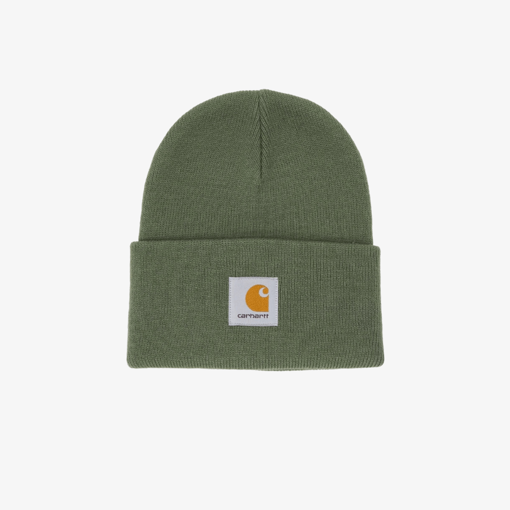 Cappello hat Carhartt Watch dollar green
