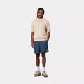 Costume Carhartt Chase Swim Trunks dusky blue gold