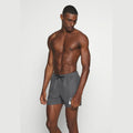 Costume Nike Logo 5'' Volley Short iron grey