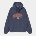 Felpa Carhartt Hooded Library ink garment dyed